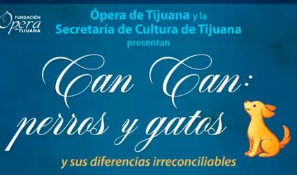 CAN CAN: Perros y gatos y sus irreconciliables diferencias