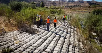 Proyectos de restauraci�n en California