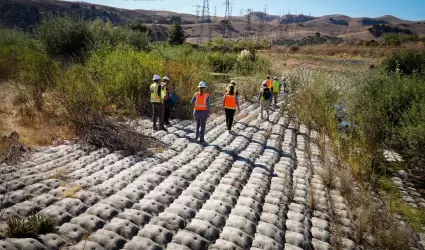 Proyectos de restauraci�n en California