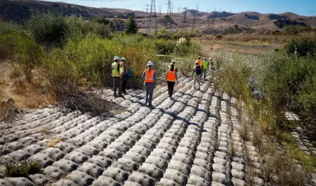 Proyectos de restauraci�n en California