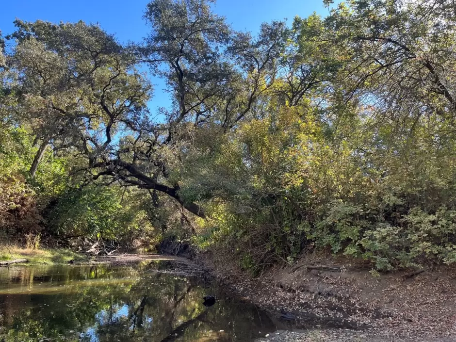 Proyectos de restauraci�n en California