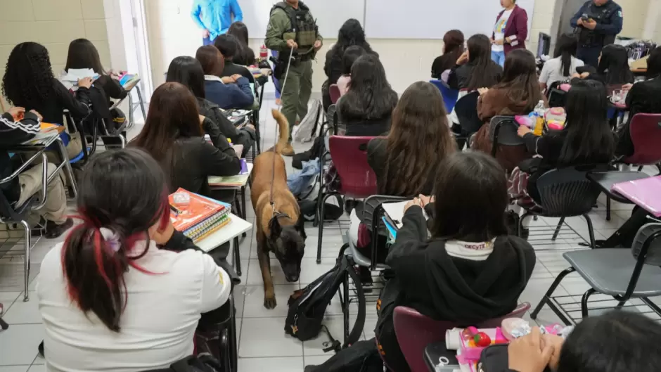 Programa 'Revisión de Pertenencias'