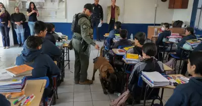 Programa 'Revisi�n de Pertenencias'