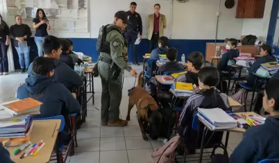 Programa 'Revisi�n de Pertenencias'