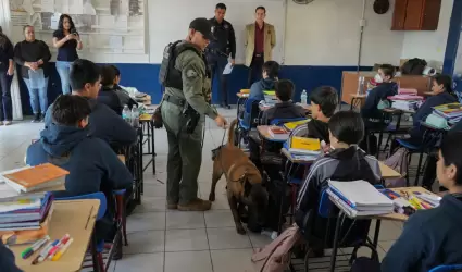 Programa 'Revisi�n de Pertenencias'