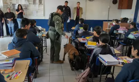 Programa 'Revisi�n de Pertenencias'