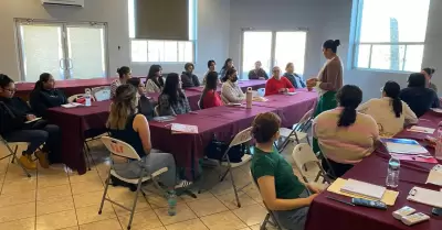 Programa "Maestro Sombra"