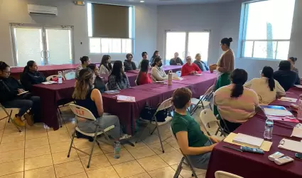 Programa "Maestro Sombra"