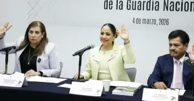 Comisi�n de la Guardia Nacional