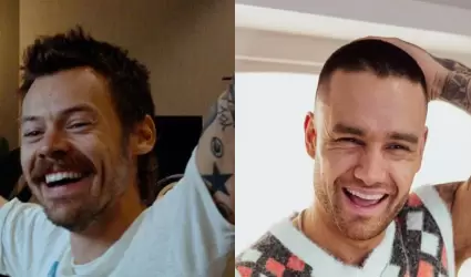 Harry Styles, Liam Payne