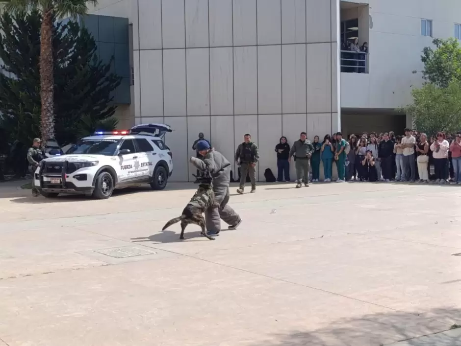 SSCBC impulsa prevención del delito entre estudiantes