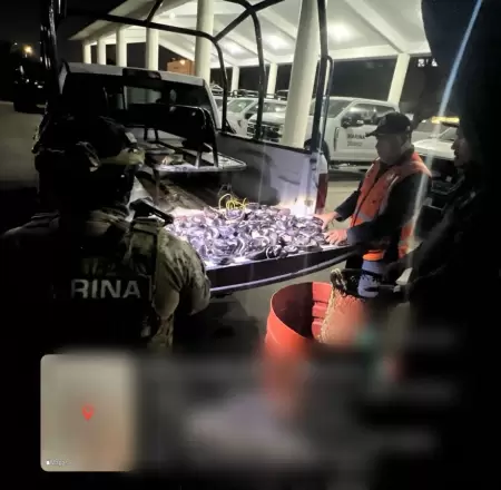 Marina asegura producto pesquero irregular en Ensenada