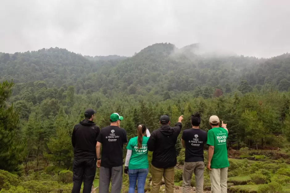 Se integra Naci�n Verde al Consejo Nacional Forestal