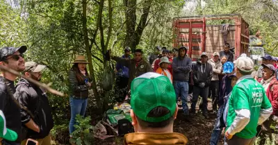 Se integra Naci�n Verde al Consejo Nacional Forestal