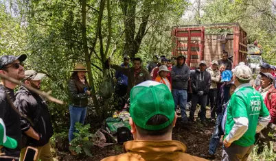 Se integra Naci�n Verde al Consejo Nacional Forestal