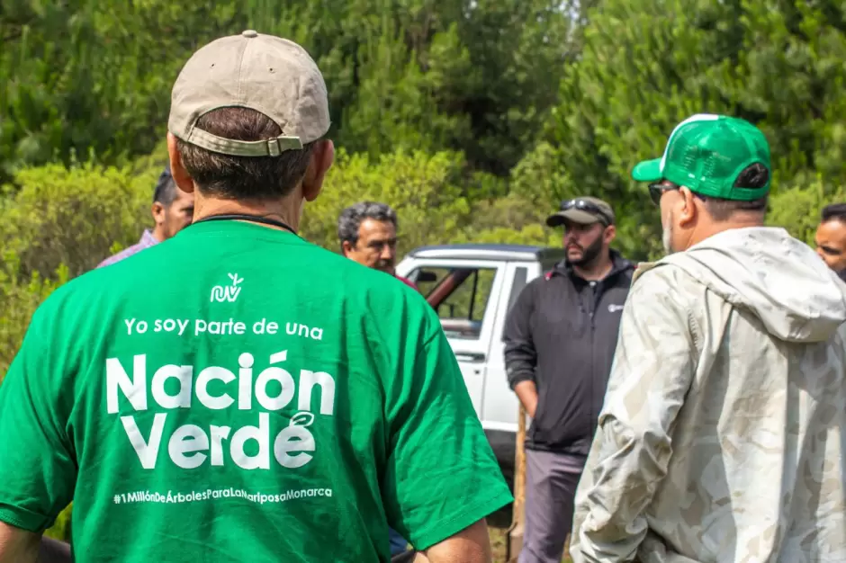 Se integra Naci�n Verde al Consejo Nacional Forestal