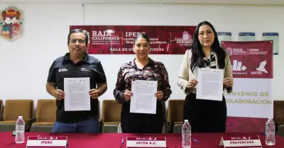 Colaboraci�n para la prevenci�n y el tratamiento de las adicciones en Baja Calif