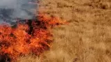 Incendio de maleza