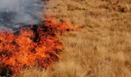 Incendio de maleza