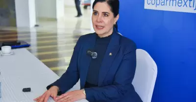 Presidente del centro empresarial, Elisa Ib��ez Aldana.