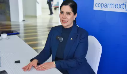 Presidente del centro empresarial, Elisa Ib��ez Aldana.