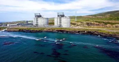 Terminal de licuefacci�n de gas natural Vista Pac�fico LNG