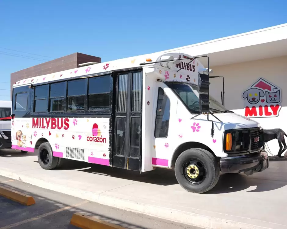 Celebra gobernadora Marina del Pilar dos a�os del Santuario Mily