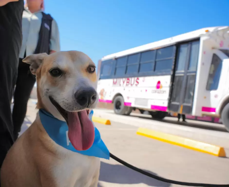 Celebra gobernadora Marina del Pilar dos a�os del Santuario Mily