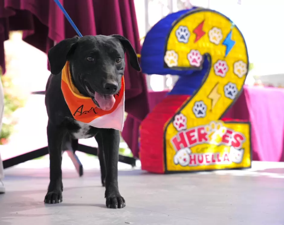 Celebra gobernadora Marina del Pilar dos a�os del Santuario Mily