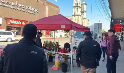 Inspecci�n de puestos ambulantes