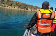 Marina en coadyuvancia con CONAPESCA asegura artes de pesca y libera langostas rojas, en inmediaciones de Ensenada