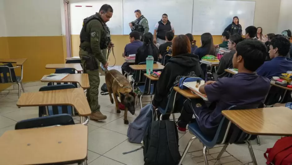 Programa "Revisi�n de Pertenencias" en El Florido