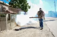 Baja California se suma a la primera jornada nacional de lucha contra el dengue y chikungunya