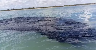 Derrame de petr�leo