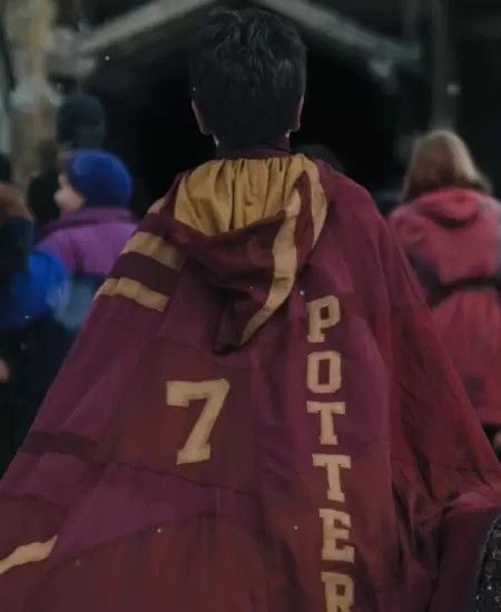 Dominic McLaughlin, Harry Potter