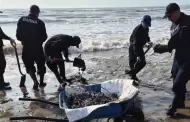 Derrame petrolero: autoridades despliegan limpieza y apoyo de 35 mdp a pescadores