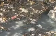 Preocupa que colapse pluvial por derrame de aguas residuales en colonia Panamericano