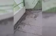 Reportan malas condiciones en puente peatonal de la central camionera