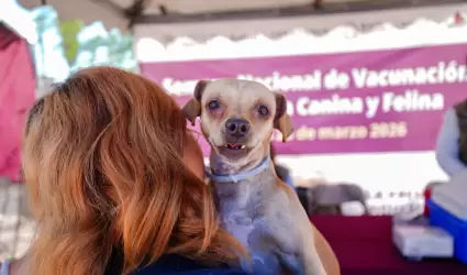 Realizan mega jornada de esterilizaci�n y salud animal en Mexicali