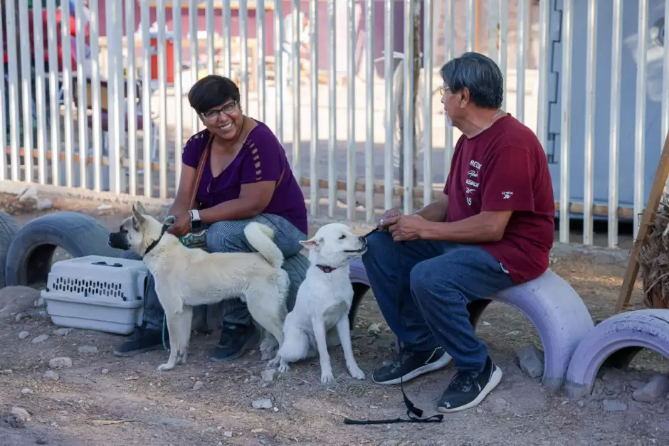 Realizan mega jornada de esterilizaci�n y salud animal en Mexicali