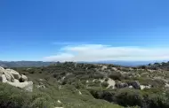 Declaran liquidado al 100% el incendio intermunicipal "Mesa el Barreal" en San Quint�n y Ensenada