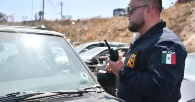 Recupera FGE 19 veh�culos con reporte de robo en Tijuana durante marzo