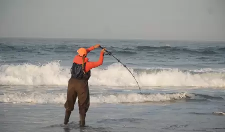 M�s de 330 participantes en torneo de pesca deportiva en Rosarito