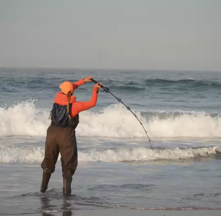 M�s de 330 participantes en torneo de pesca deportiva en Rosarito