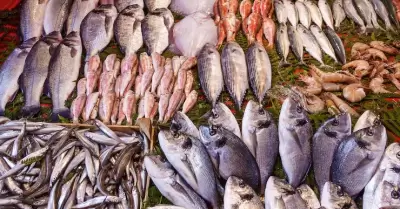 Reportan pescader�as ca�das de hasta 40% en ventas durante Semana Santa