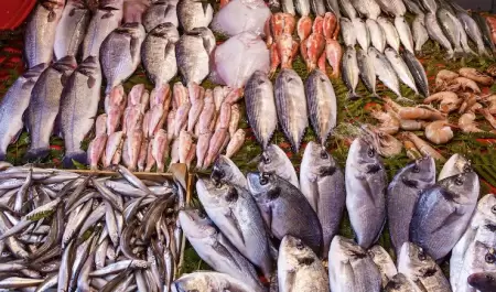 Reportan pescader�as ca�das de hasta 40% en ventas durante Semana Santa