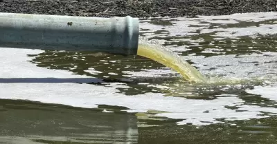 Confirman contaminaci�n fecal en agua potable de Real del Mar