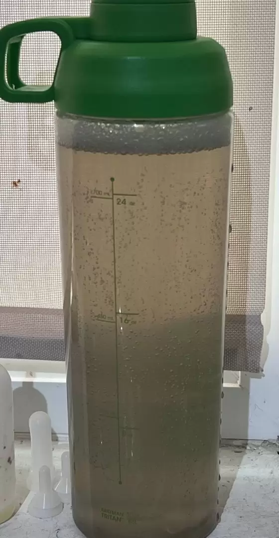 Confirman contaminaci�n fecal en agua potable de Real del Mar