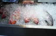 Emiten recomendaciones de salud para el consumo seguro de pescados y mariscos en semana santa
