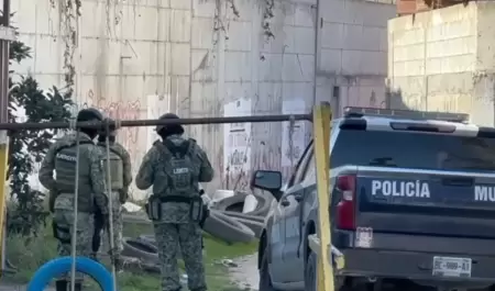 Delincuencia ha buscado obstaculizar investigaciones del Operativo Alba para det